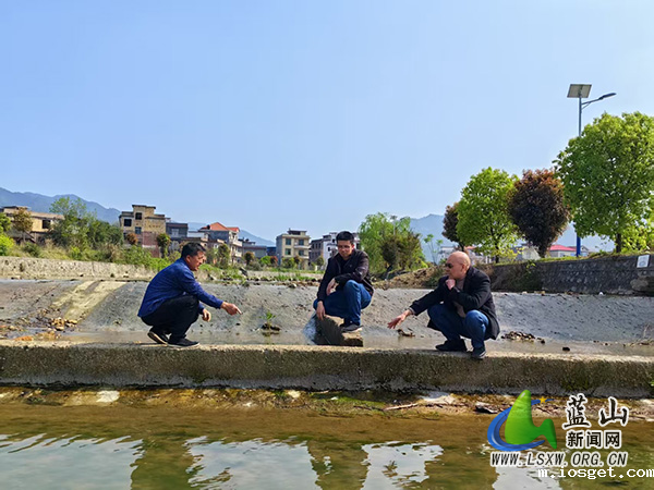 蓝山:监督护春耕 一渠清水畅民心.jpg 蓝山:监督护春耕 一渠清水畅民心.jpg