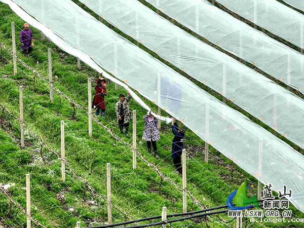 华体会登陆网站:多管齐下 绘就乡村振兴新画卷2.jpg 华体会登陆网站:多管齐下 绘就乡村振兴新画卷2.jpg